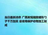 當日最新消息 廣西發(fā)現(xiàn)精致螺形勺子千萬別買 是使用保護動物加工制成