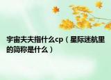 宇宙夫夫指什么cp（星際迷航里的簡稱是什么）