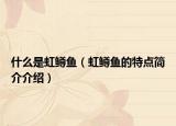 什么是虹鱒魚（虹鱒魚的特點簡介介紹）