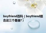 boyfriend百科（boyfriend組合這三個是誰?）