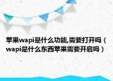 蘋果wapi是什么功能,需要打開嗎（wapi是什么東西蘋果需要開啟嗎）