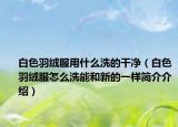 白色羽絨服用什么洗的干凈（白色羽絨服怎么洗能和新的一樣簡介介紹）