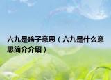 六九是啥子意思（六九是什么意思簡介介紹）