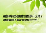 被刪除的微信朋友圈顯示什么樣（微信被刪了朋友圈會(huì)顯示什么）