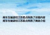 兩車生豬途經(jīng)江蘇差點熱熟了詳細內(nèi)容 兩車生豬途經(jīng)江蘇差點熱熟了具體介紹