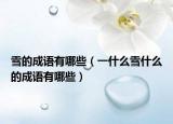 雪的成語有哪些（一什么雪什么的成語有哪些）