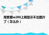 用索愛w200上網(wǎng)顯示不出圖片了（怎么辦）