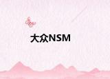 大眾NSM