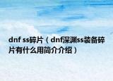 dnf ss碎片（dnf深淵ss裝備碎片有什么用簡(jiǎn)介介紹）