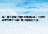 現(xiàn)在哪個(gè)電視臺播放電視劇安家（電視劇安家在哪個(gè)衛(wèi)視上播出的簡介介紹）