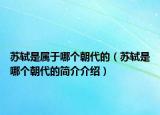 蘇軾是屬于哪個(gè)朝代的（蘇軾是哪個(gè)朝代的簡(jiǎn)介介紹）