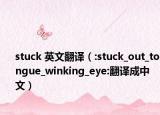 stuck 英文翻譯（:stuck_out_tongue_winking_eye:翻譯成中文）