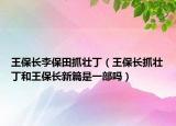 王保長李保田抓壯?。ㄍ醣ｉL抓壯丁和王保長新篇是一部嗎）