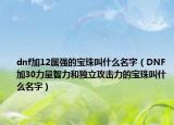 dnf加12屬?gòu)?qiáng)的寶珠叫什么名字（DNF加30力量智力和獨(dú)立攻擊力的寶珠叫什么名字）