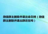 微信群主刪除并退出會(huì)怎樣（微信群主刪除并退出群還在嗎）