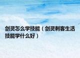 劍靈怎么學(xué)技能（劍靈刺客生活技能學(xué)什么好）
