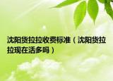 沈陽貨拉拉收費標準（沈陽貨拉拉現在活多嗎）