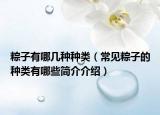 粽子有哪幾種種類（常見粽子的種類有哪些簡介介紹）