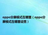 oppo分屏模式在哪里（oppo分屏模式在哪里設(shè)置）
