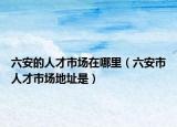 六安的人才市場在哪里（六安市人才市場地址是）