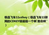 極品飛車11cdkey（極品飛車11聯(lián)網(wǎng)的CDKEY誰能給一個(gè)啊`救命啊``）