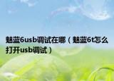 魅藍(lán)6usb調(diào)試在哪（魅藍(lán)6t怎么打開usb調(diào)試）