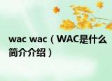 wac wac（WAC是什么簡介介紹）