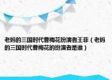 老媽的三國時(shí)代曹梅花扮演者王菲（老媽的三國時(shí)代曹梅花的扮演者是誰）