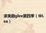 求美劇glee第四季（中Lea）