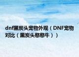 dnf黑炭頭寵物外觀(guān)（DNF寵物對(duì)比（黑炭頭憨憨牛））