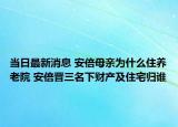 當日最新消息 安倍母親為什么住養(yǎng)老院 安倍晉三名下財產(chǎn)及住宅歸誰