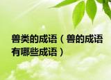 獸類的成語（獸的成語有哪些成語）