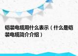 鎧裝電纜用什么表示（什么是鎧裝電纜簡介介紹）