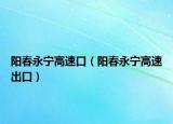陽春永寧高速口（陽春永寧高速出口）