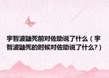宇智波鼬死前對(duì)佐助說了什么（宇智波鼬死的時(shí)候?qū)ψ糁f了什么?）
