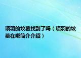 項(xiàng)羽的墳?zāi)拐业搅藛幔?xiàng)羽的墳?zāi)乖谀暮喗榻榻B）