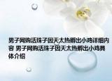 男子網(wǎng)購活珠子因天太熱孵出小雞詳細(xì)內(nèi)容 男子網(wǎng)購活珠子因天太熱孵出小雞具體介紹