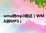 wma轉(zhuǎn)mp3格式（WMA轉(zhuǎn)MP3）