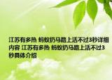 江蘇有多熱 螞蟻扔馬路上活不過3秒詳細(xì)內(nèi)容 江蘇有多熱 螞蟻扔馬路上活不過3秒具體介紹