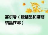 賽爾號（滕結(jié)晶和蘑菇結(jié)晶在哪）