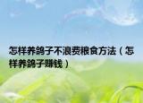 怎樣養(yǎng)鴿子不浪費(fèi)糧食方法（怎樣養(yǎng)鴿子賺錢）