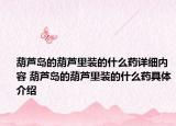 葫蘆島的葫蘆里裝的什么藥詳細(xì)內(nèi)容 葫蘆島的葫蘆里裝的什么藥具體介紹