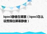 iqoo3靜音在哪里（iqoo3怎么設(shè)置捂住屏幕靜音）