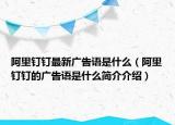 阿里釘釘最新廣告語是什么（阿里釘釘?shù)膹V告語是什么簡介介紹）