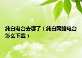 純白電臺去哪了（純白網(wǎng)絡(luò)電臺怎么下載）