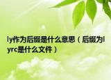 ly作為后綴是什么意思（后綴為lyrc是什么文件）