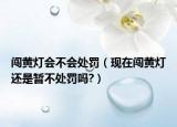 闖黃燈會不會處罰（現(xiàn)在闖黃燈還是暫不處罰嗎?）