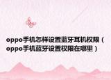 oppo手機(jī)怎樣設(shè)置藍(lán)牙耳機(jī)權(quán)限（oppo手機(jī)藍(lán)牙設(shè)置權(quán)限在哪里）