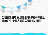 當(dāng)日最新消息 武漢檢出4份甲魚(yú)樣本霍亂弧菌陽(yáng)性 接觸人員采樣檢測(cè)均為陰性