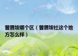 曾厝垵哪個區(qū)（曾厝垵社這個地方怎么樣）